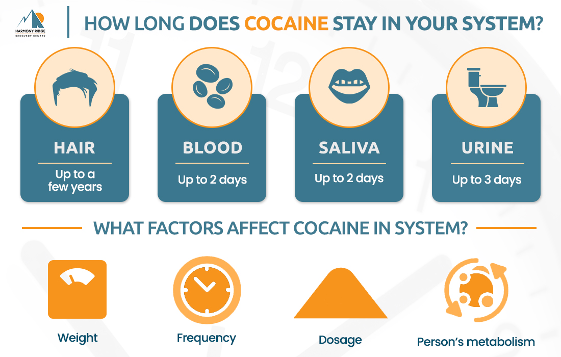 Commonly Used Types Of Cocaine - Spring Hill Recovery