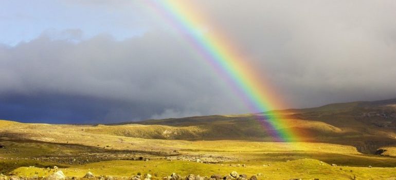 A rainbow on a cloudy sky over an open field.