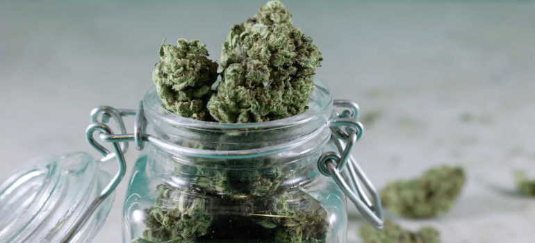 A close-up photograph of cannabis in a glass jar.