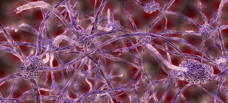 An illustration of brain neurons in red and purple hues.