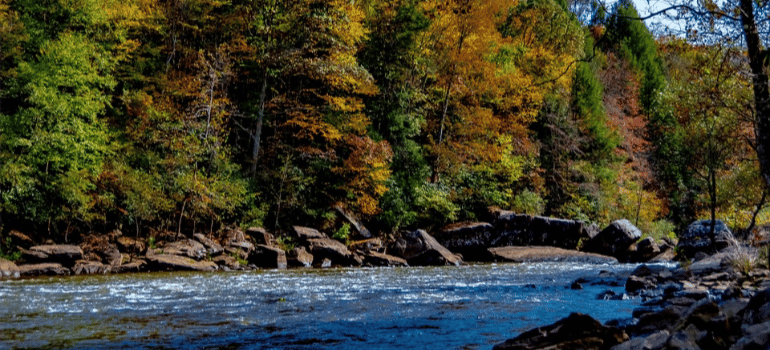 A picture of the Gauley River in West Virginia.