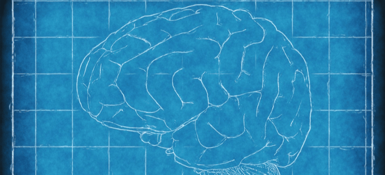 An illustration of a human brain over a blue background.