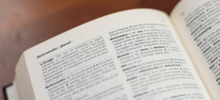A close-up photo of an open dictionary.