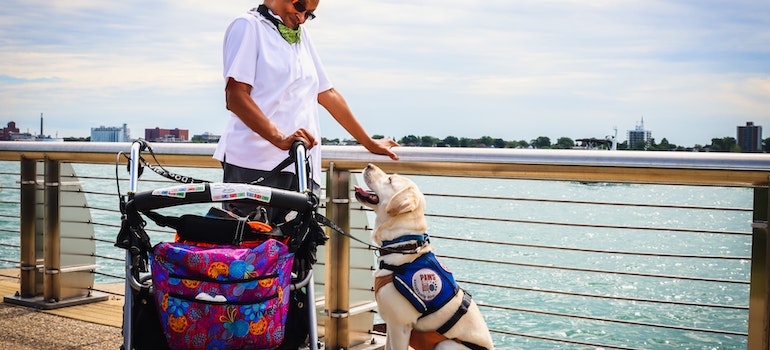 Person with a service dog.