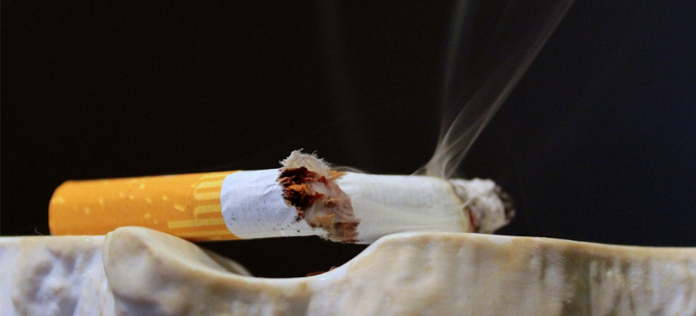A close-up of a broken cigarette on an ashtray. 