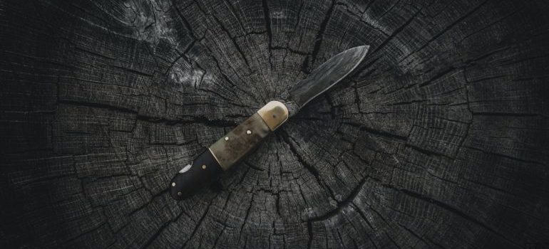 A knife resting on a tree stump.