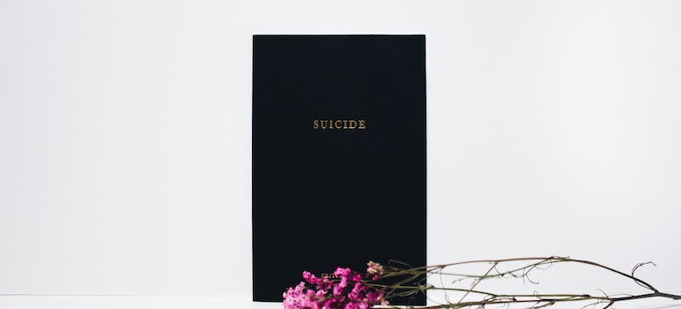 A book about suicide