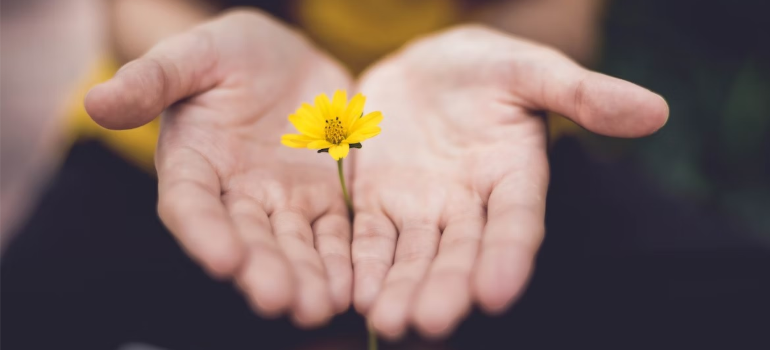 A close-up of a person’s hands holding a yellow flower, symbolizing the potency of acupuncture in drug addiction treatment.