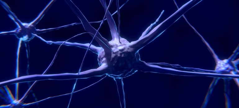 An illustration of neurons over a blue background.