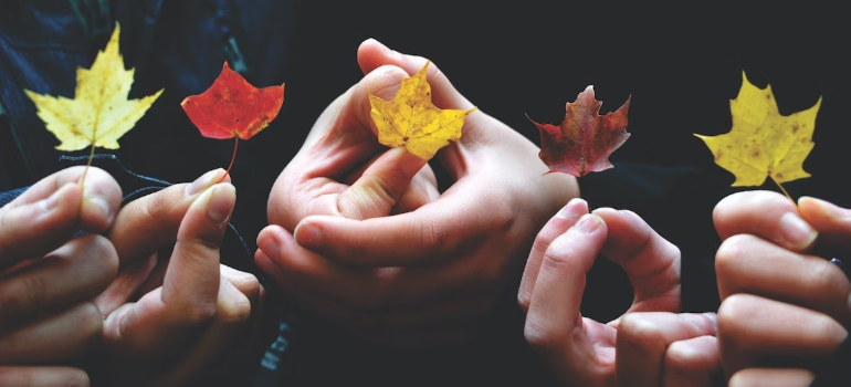A close-up of people holding leaves, symbolizing how there is hope in combating addiction stigma in West Virginia.