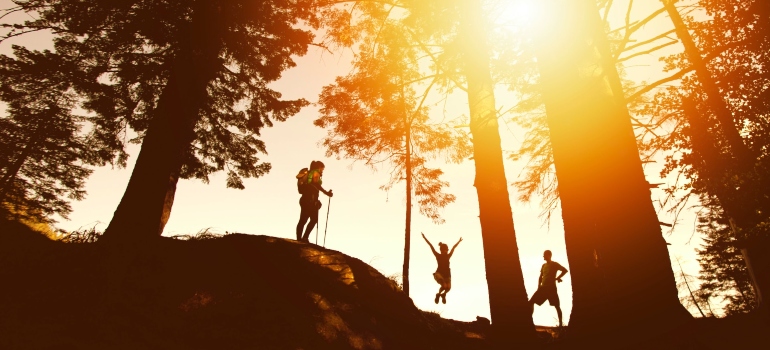 Silhouettes of people hiking in the woods during sunset