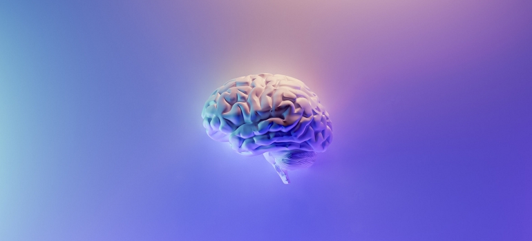 A digital photo of the brain. 